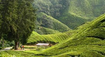 Hotel Rainbow Cameron Highlands